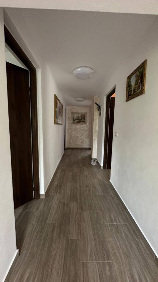 Casa M&M Apartment Vişeu de Sus Exterior foto